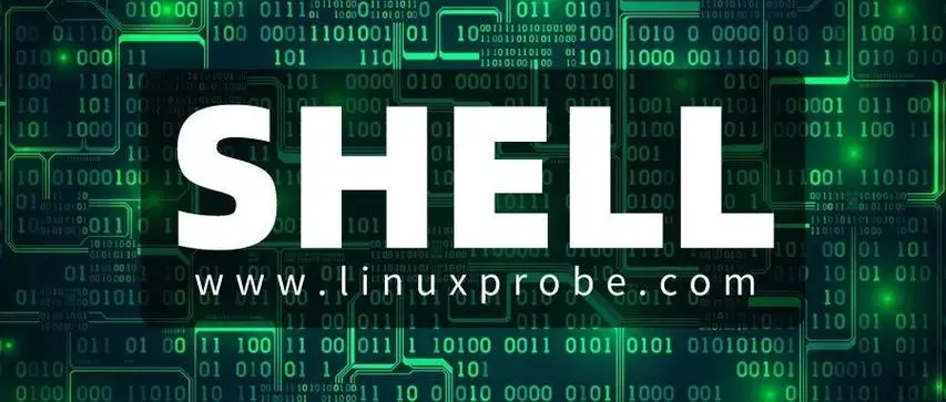 海外shell如何挂gov一次聊完过程 seo 方法技术操作